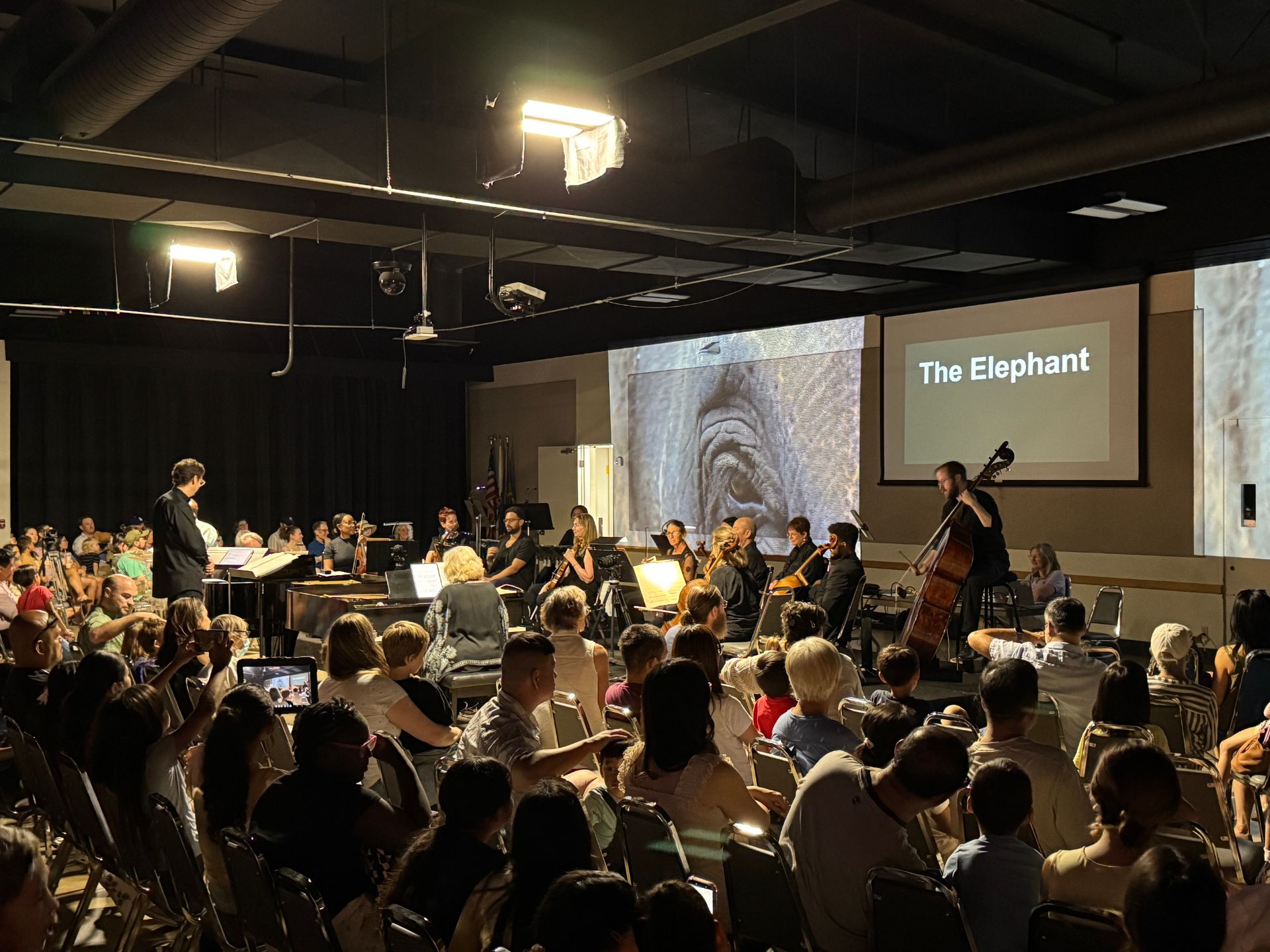 a group of people watching a string concert 