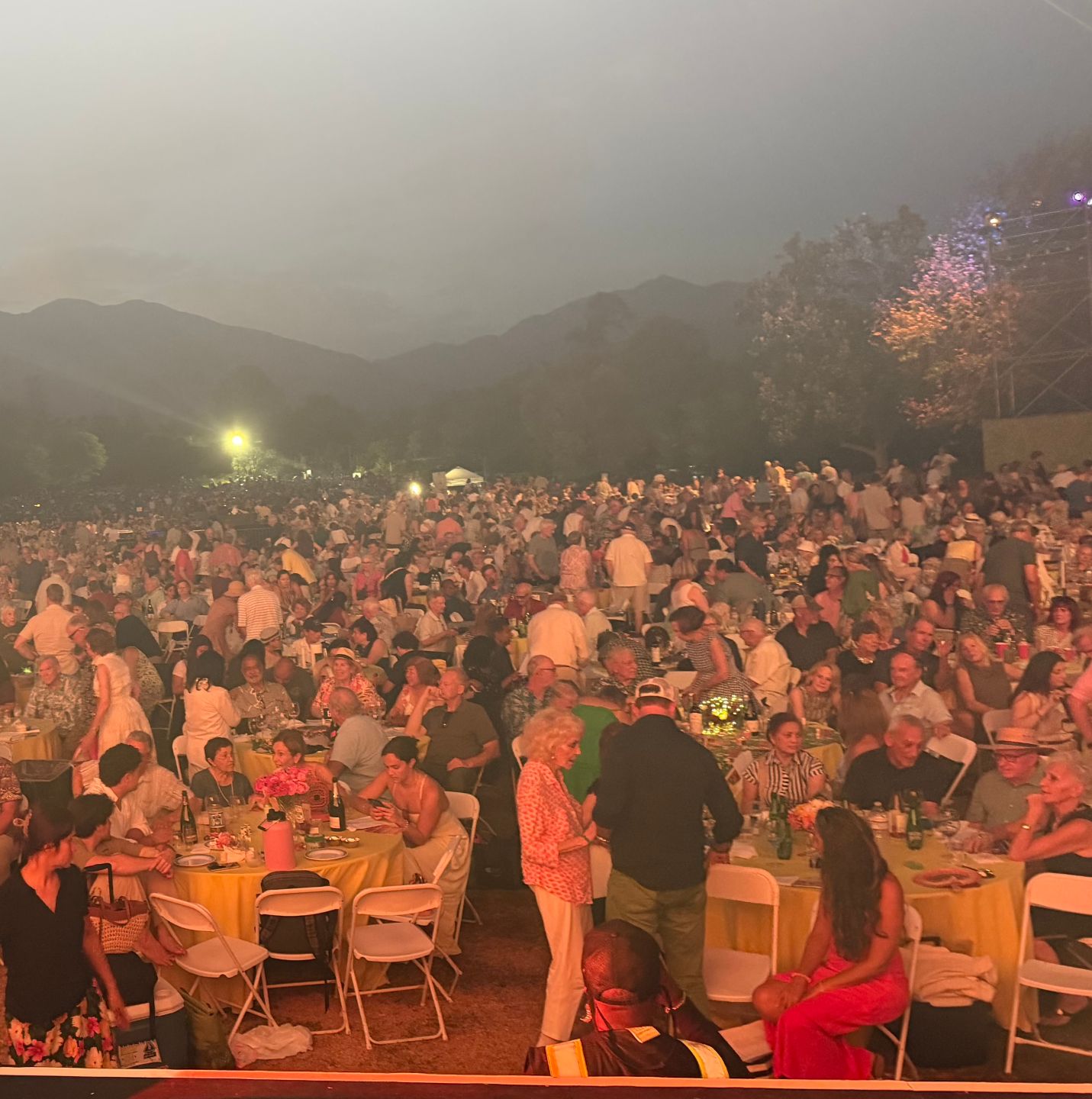 a large group of people at an outdoor concert